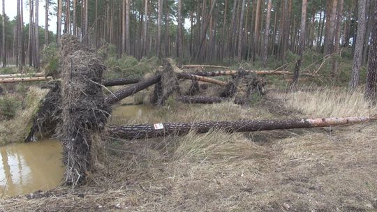 Pracowity weekend strażaków