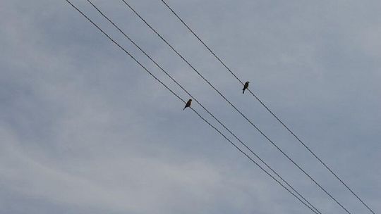 Profesjonalny dostawca prądu - sprawdzony kontrahent na wiele lat