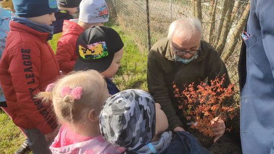 Przedszkole „Słoneczko” przyjacielem przyrody  