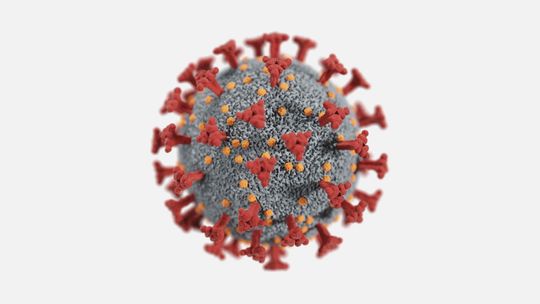 Region świętokrzyski z 369 zakażeniami