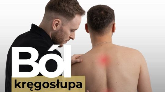 Rehabilitacja a fizjoterapia – poznaj kluczowe różnice i dowiedz się, czego potrzebujesz