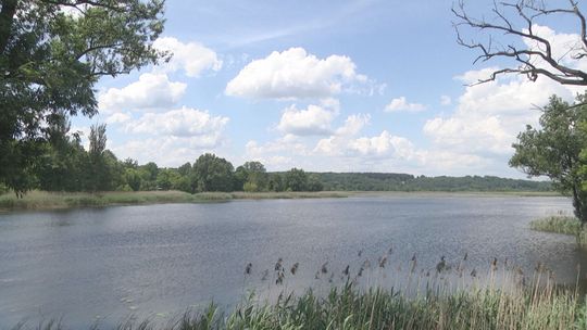 Rewitalizacja terenu wokół zalewu Pasternik