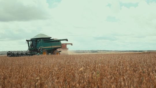 Rozpoczęły się wypłaty zaliczek płatności bezpośrednich dla rolników