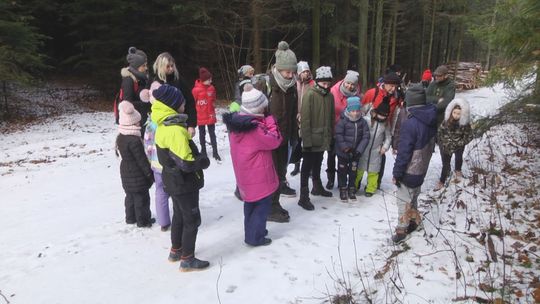 Rozwojowe spacery z Nadleśnictwem Starachowice