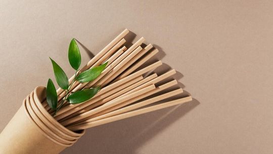 Rurki do picia: Ekologiczna alternatywa