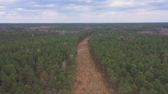 Rusza budowa północno – zachodniej obwodnicy Starachowic