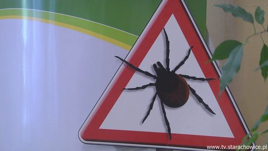 Sanepid radzi jak uniknąć chorób przenoszonych przez kleszcze