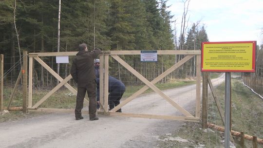 Siatka zatrzymująca dziki już gotowa