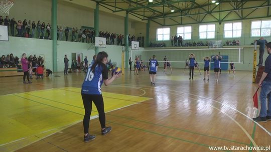 Siatkarki z II LO mistrzyniami turnieju szkół ponadgimnazjalnych