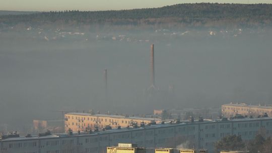 Smog w mieście