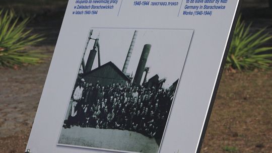 Starachowickie muzeum po raz kolejny weźmie udział w Akcji Żonkile