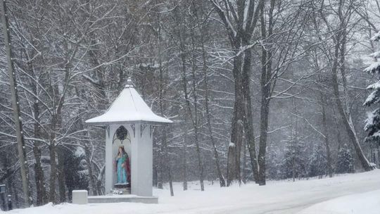 Święto patronki Starachowic