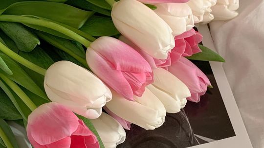 Sztuczne tulipany w domu - gdzie najlepiej umieścić, aby imitować świeżo ścięte kwiaty?