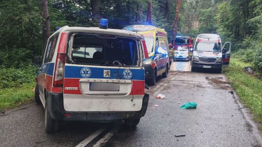 Transportowa karetka uderzyła w drzewo. Pasażerowie trafili do szpitala
