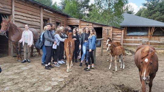 Uczniowie Zespołu Szkół Zawodowych Nr 1 Wrażliwi Społecznie
