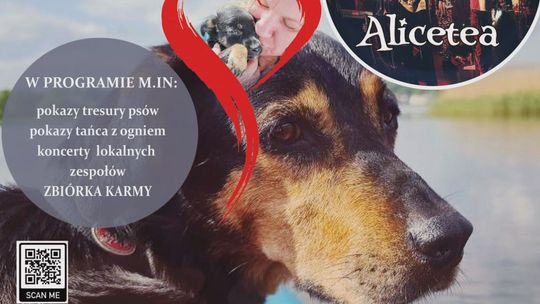 W niedzielę „pod skałkami” zbiórka dla schroniska w Rudniku