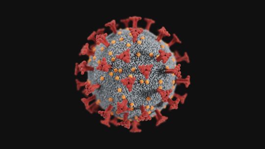W powiecie starachowickim 51 zachorowań
