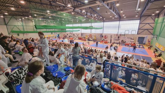 Wielki zlot pasjonatów karate w Starachowicach