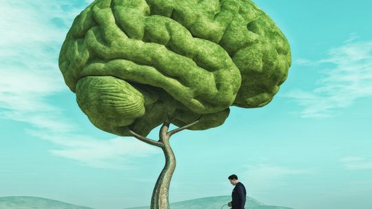 Wpływ ozonu na jakość powietrza