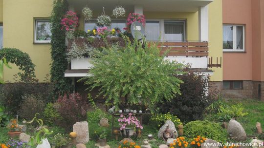 Wybierali najładniejsze balkony i ogródki