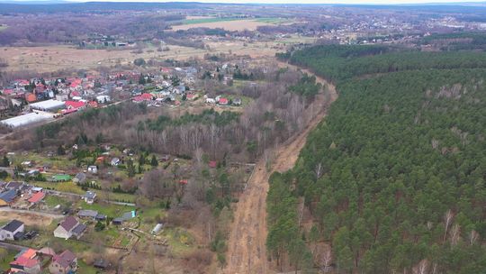 Wycięto las w ramach przygotowań do budowy obwodnicy Starachowic