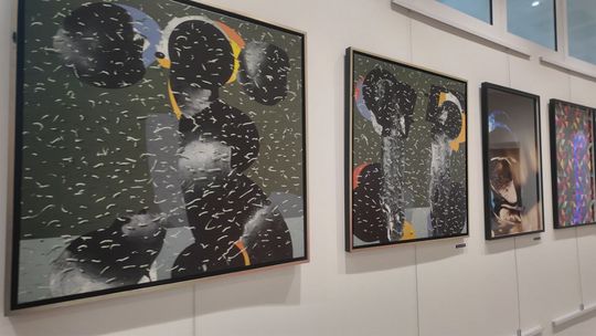 Wystawa Show.Case.2025 dostępna w Parku Kulttury