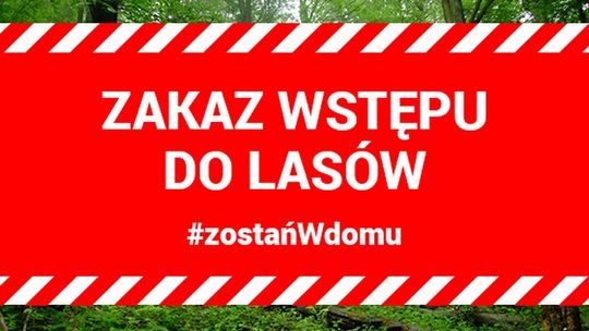 Zakaz wstępu do lasu