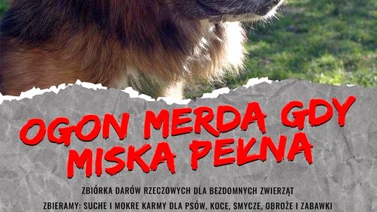 Zbiórka darów dla bezdomnych zwierząt w Rudniku