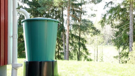 Zbiornik na wodę deszczową – czym sugerować się podczas zakupu?