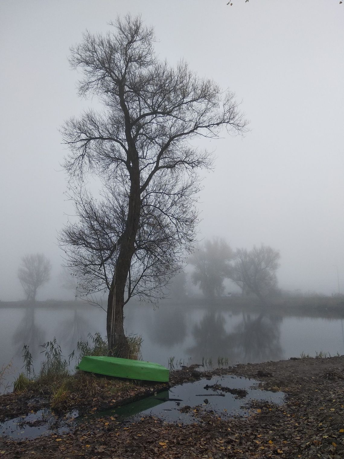 Magia powiatu starachowickiego - natura, kultura materialna, tradycje