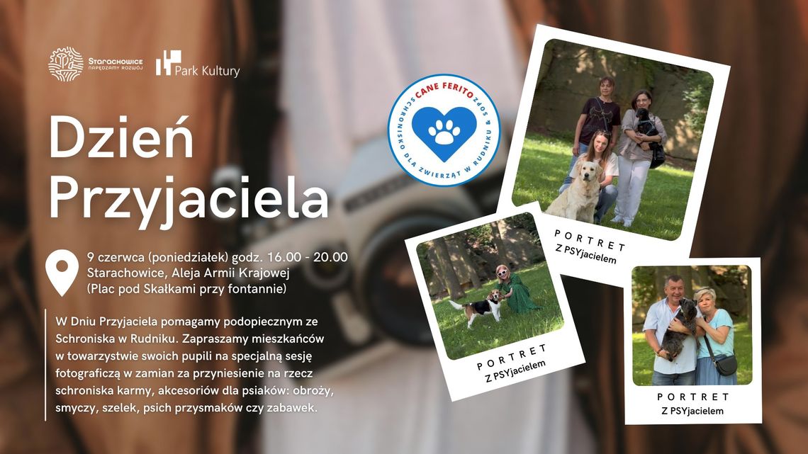 Dzień PSYjaciela Dzień PSYjaciela