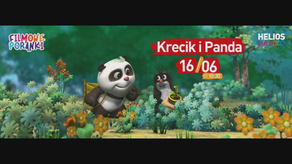Filmowe Poranki: Krecik i Panda, cz. 1