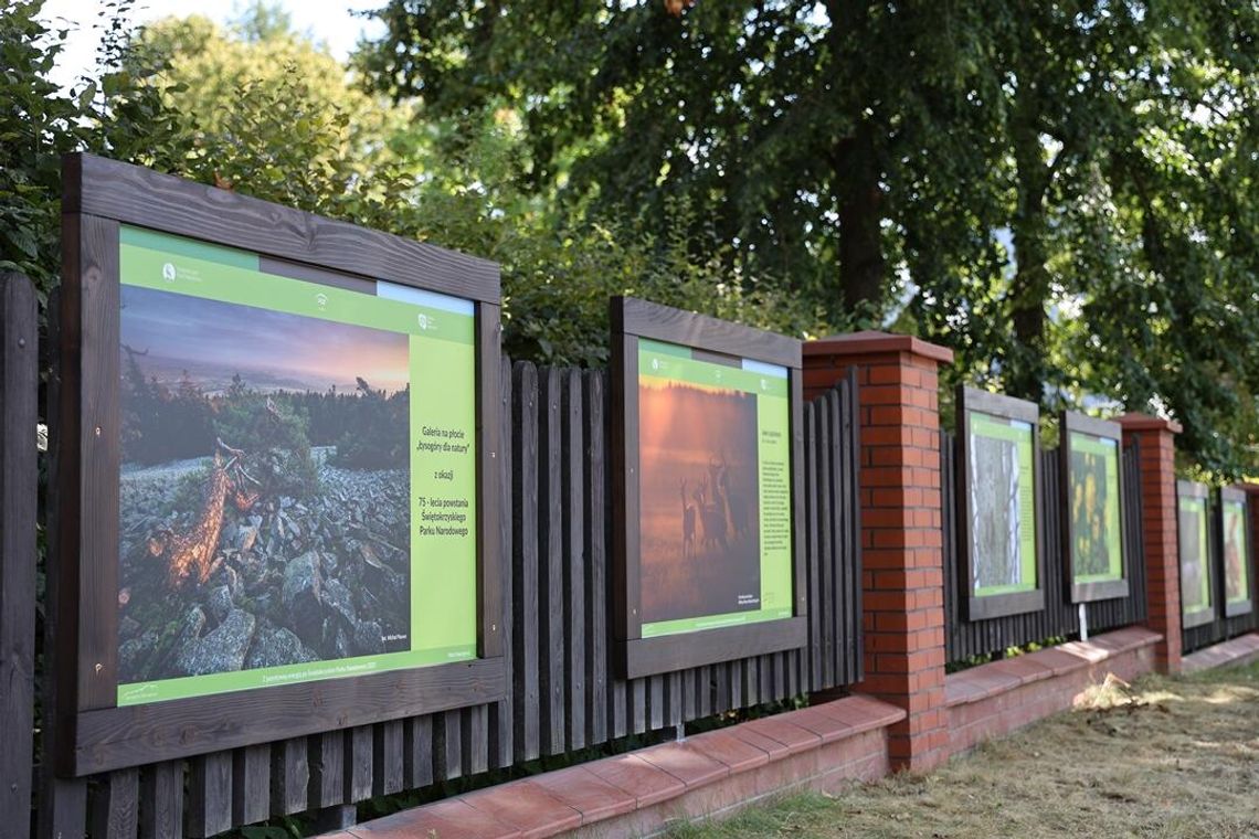 Galeria na płocie – „Łysogóry dla natury”