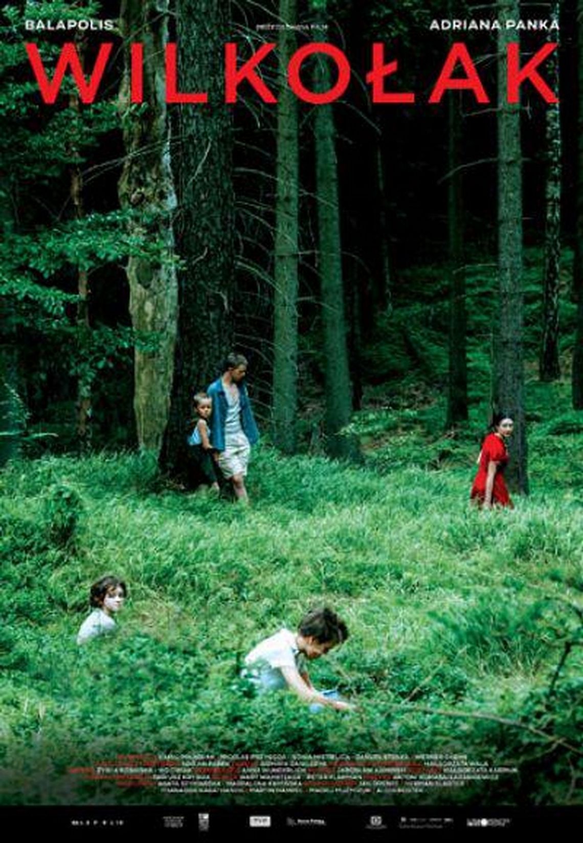 Kino Konesera - WILKOŁAK