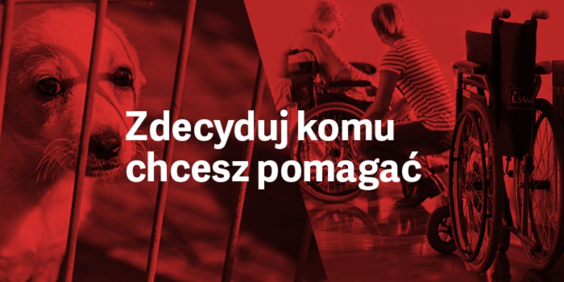 Klienci Rossmanna sami zdecydują komu pomogą Klienci Rossmanna sami zdecydują komu pomogą