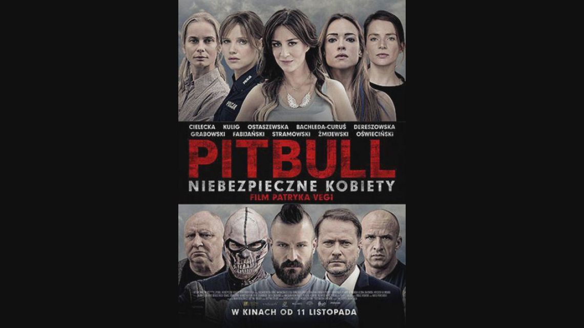 Kultura Dostępna - Pitbull