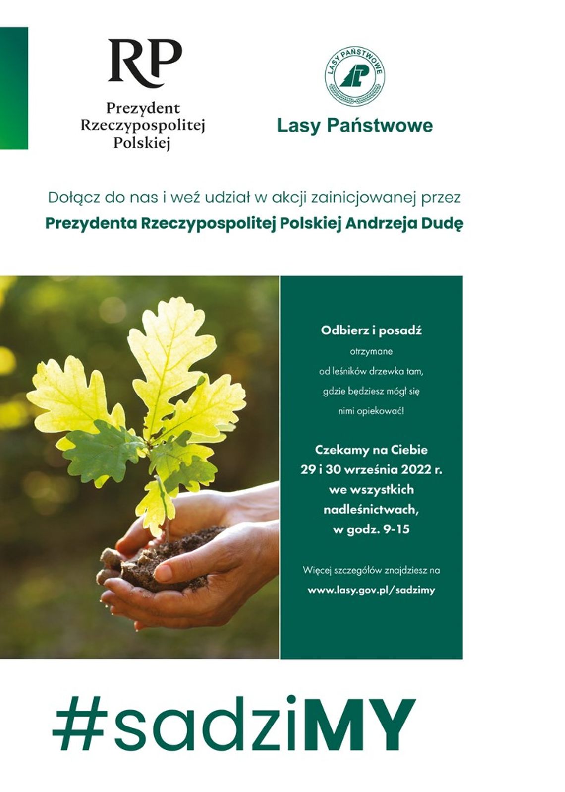 Nadleśnictwo Starachowice rozda darmowe sadzonki drzew