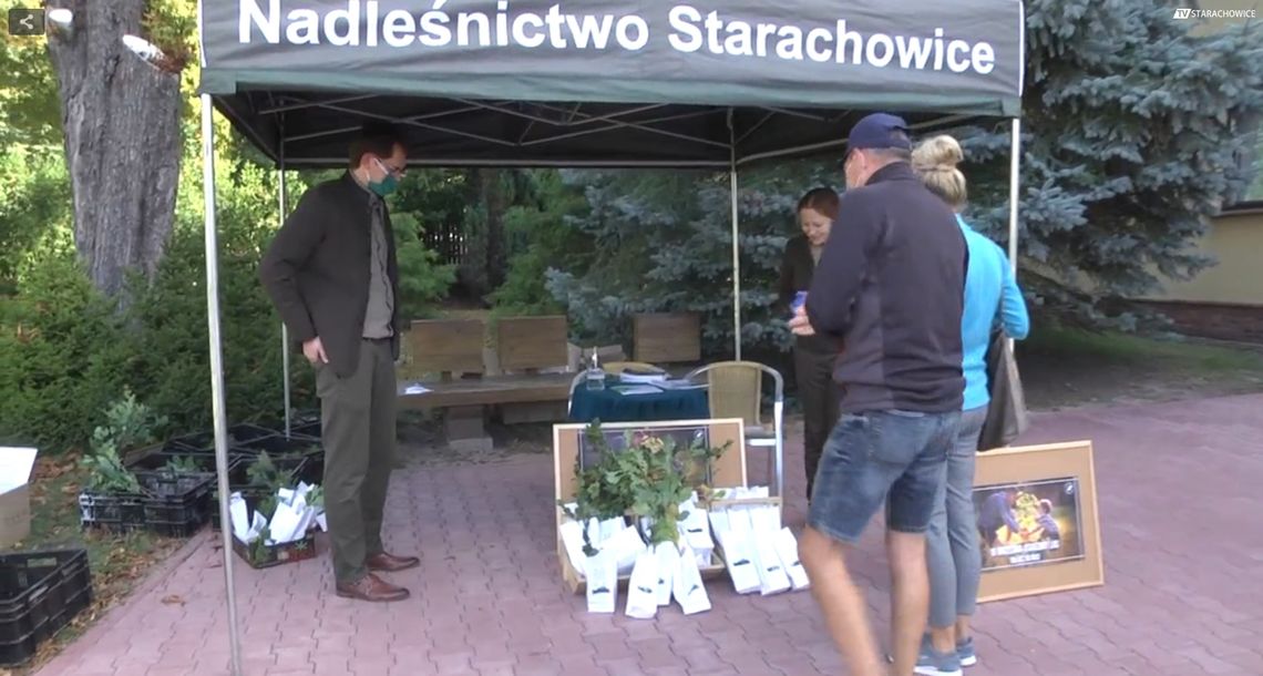 Nadleśnictwo Starachowice rozda sadzonki drzew