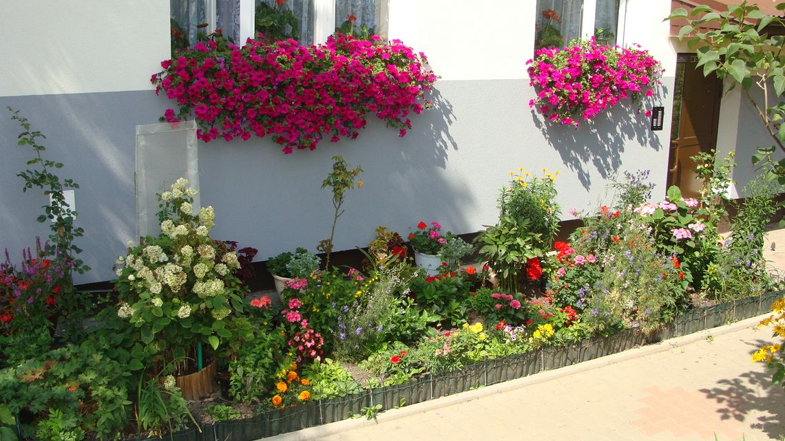 "Najładniejszy balkon i ogródek przydomowy"