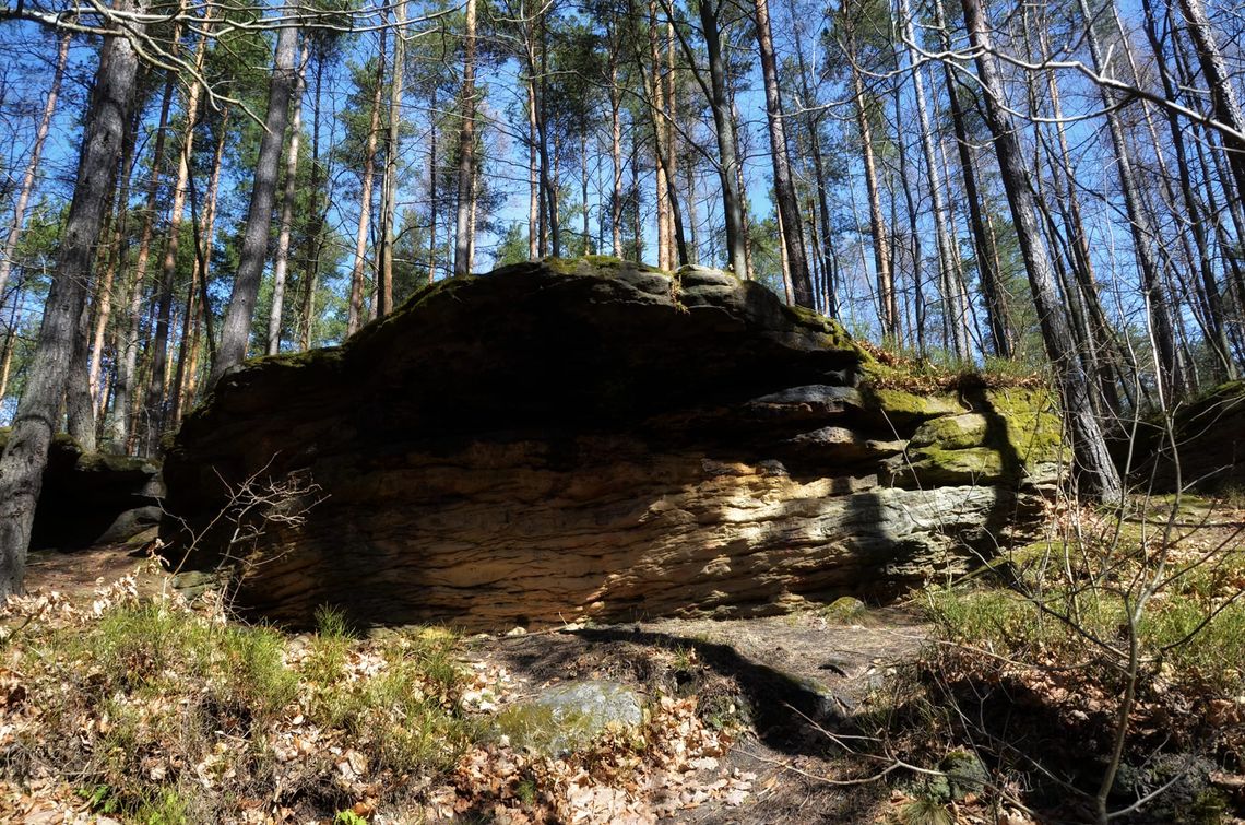 Pomysł na spacer