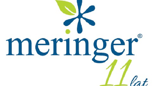 MERINGER SP. Z O. O.