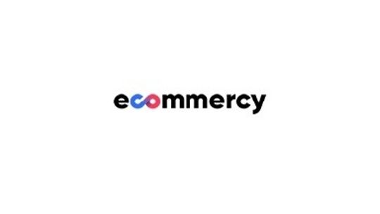 Tworzenie sklepów internetowych Poznań - Ecommercy