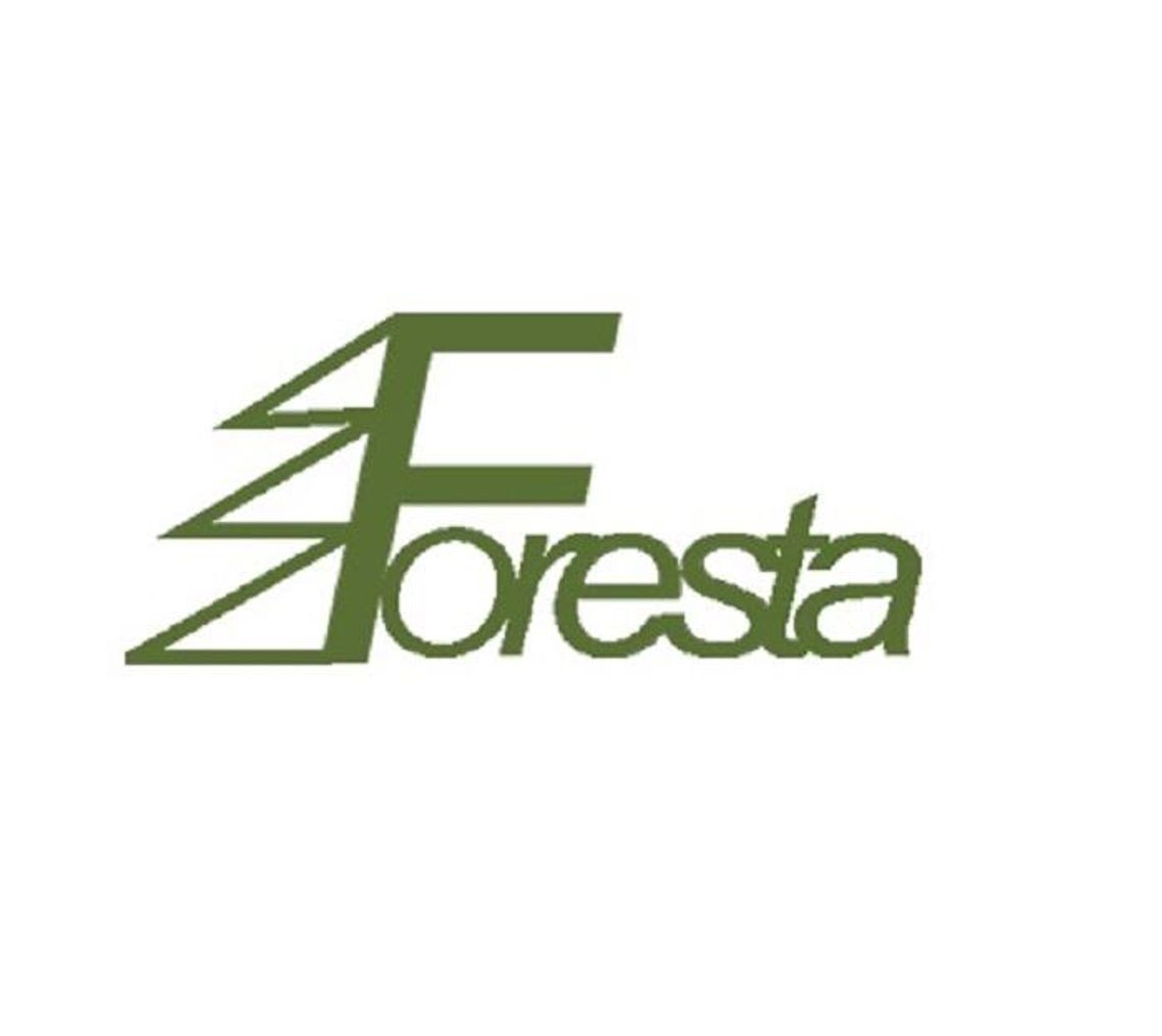 Foresta Place Zabaw Foresta Place Zabaw