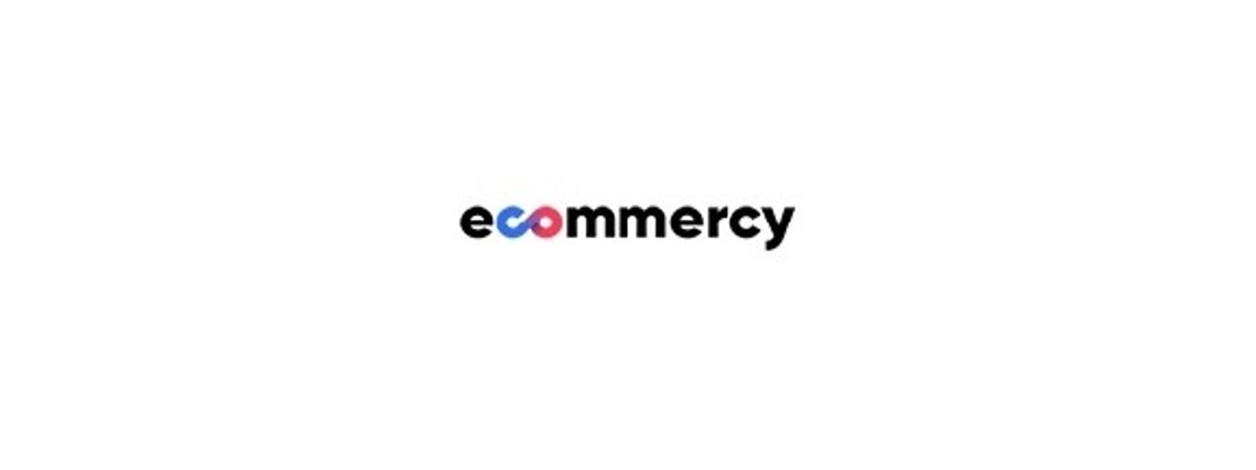 Tworzenie sklepów internetowych Poznań - Ecommercy